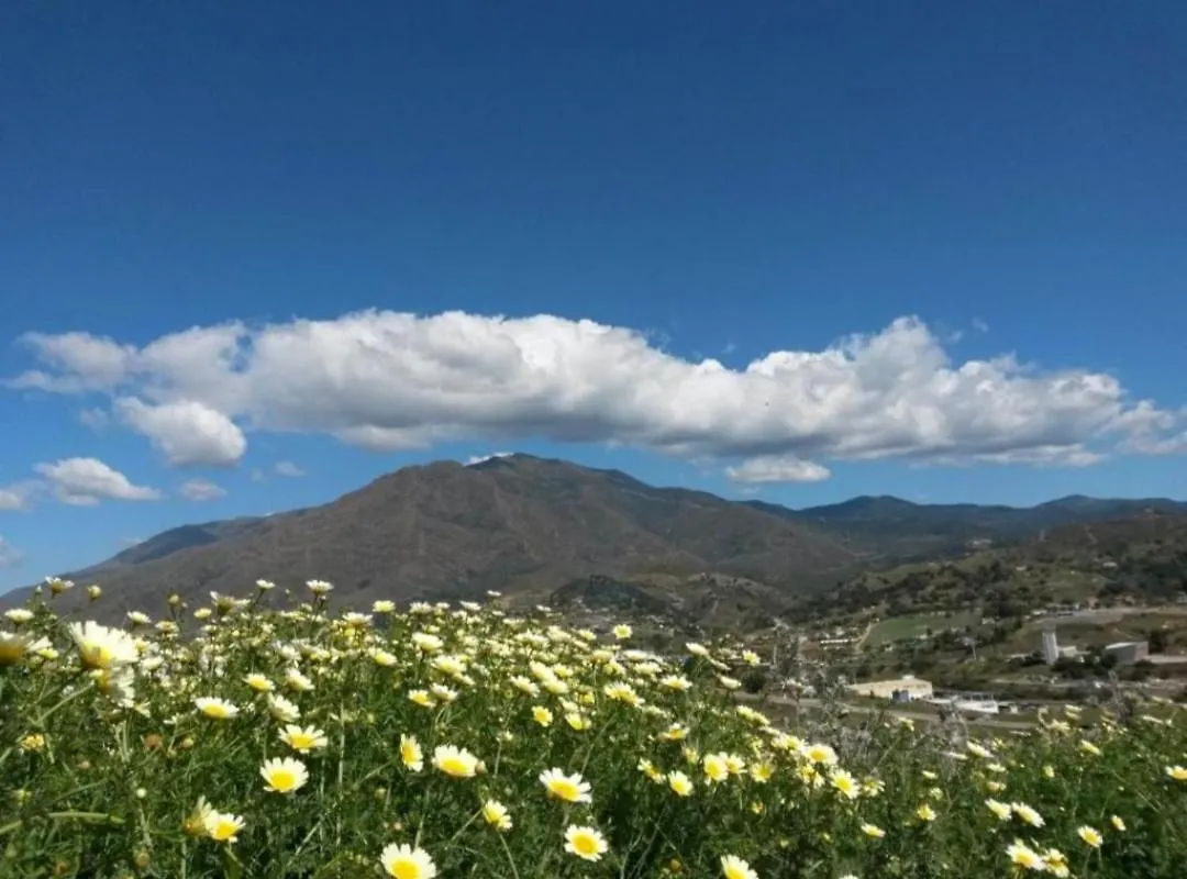 Vista Gaviota Apartment Estepona Spain