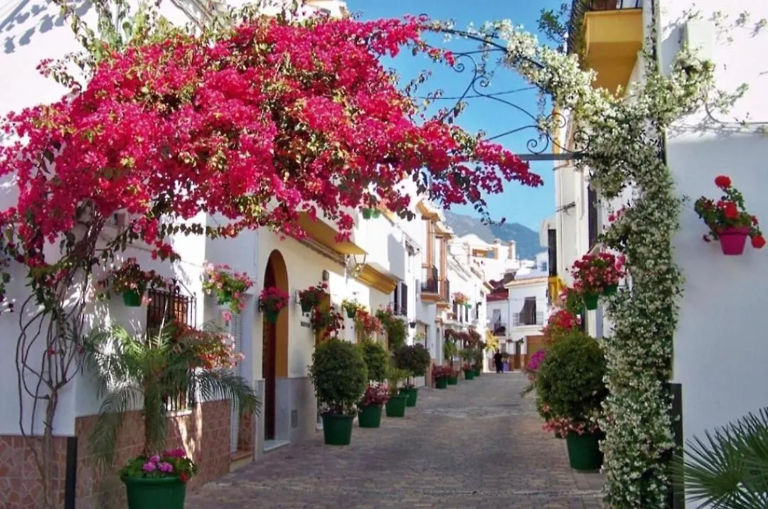 Vista Gaviota Apartment Estepona
