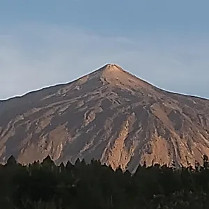 https://oasis-hill.in-canary-islands.com